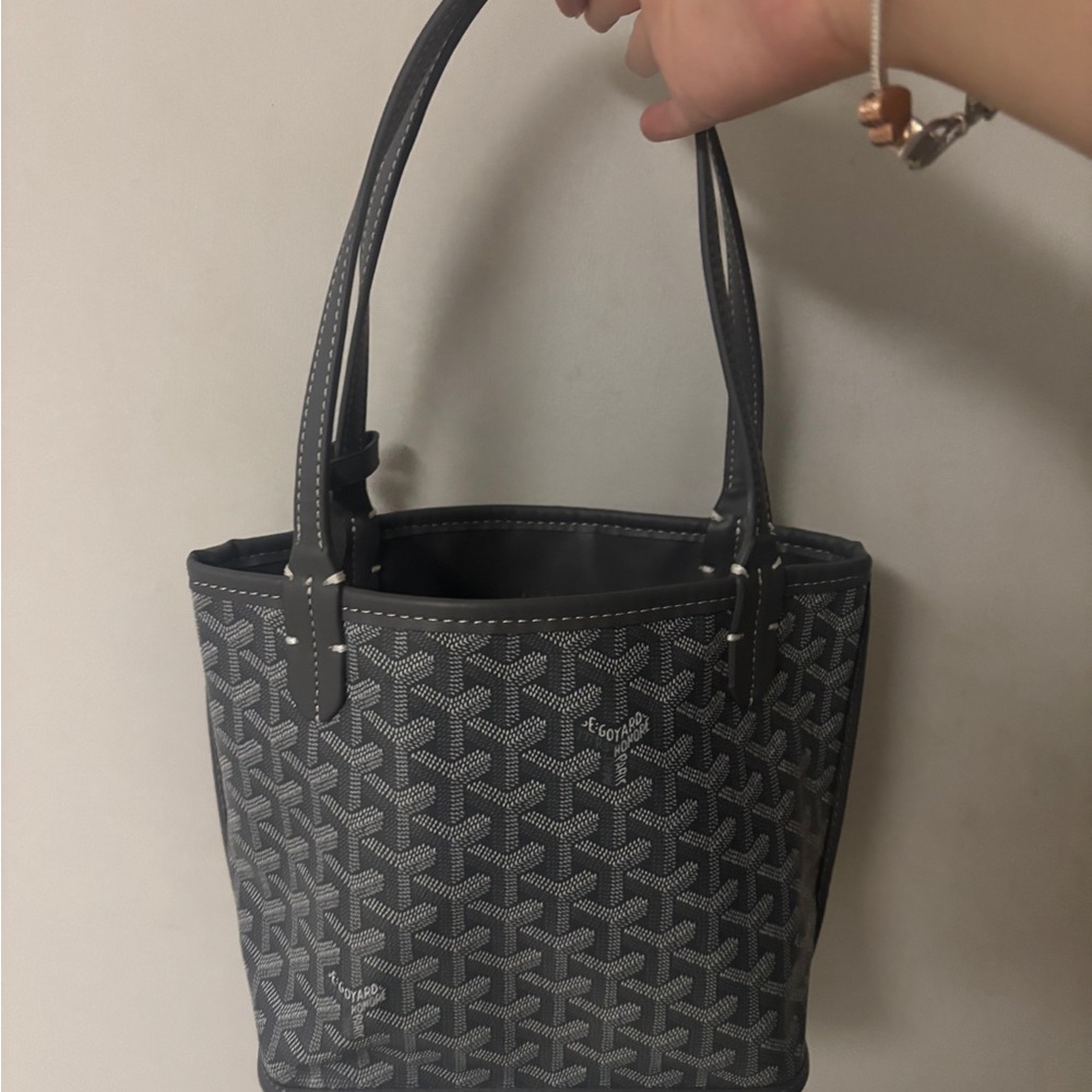 Goyard Anjou Mini Tote Bag